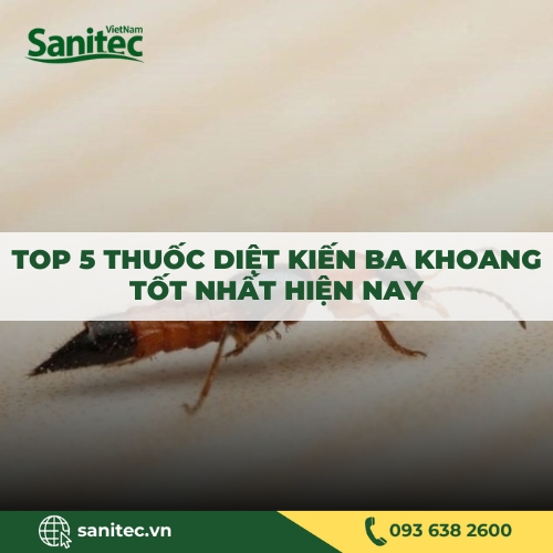 TOP 5 THUỐC DIỆT KIẾN BA KHOANG TỐT NHẤT HIỆN NAY